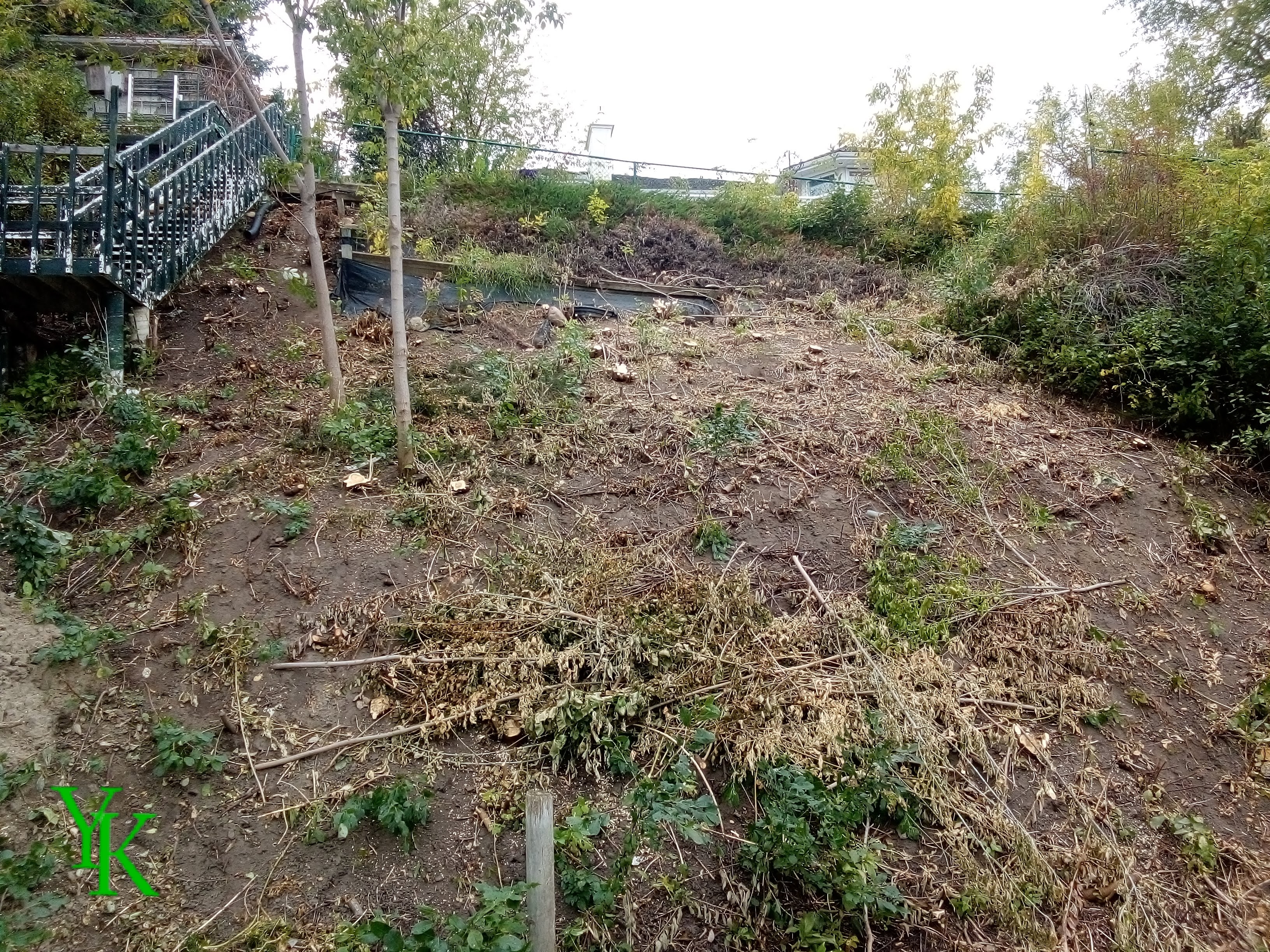 Cleared Brush